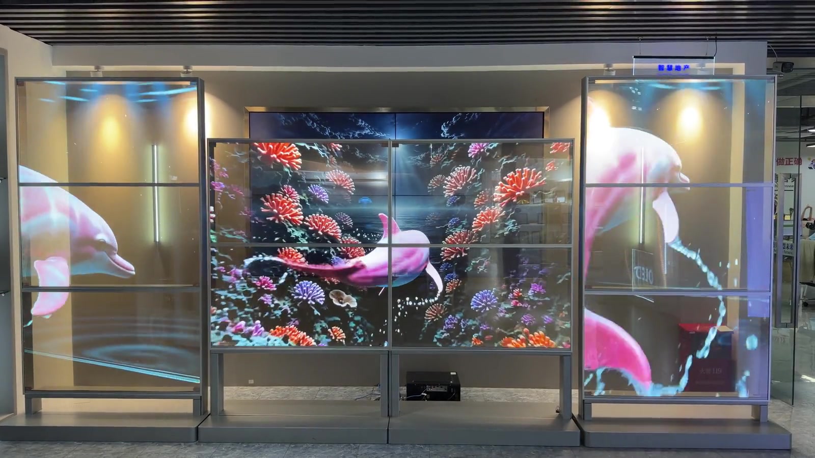 Multi-panel transparent display array showing synchronized coral and dolphin content