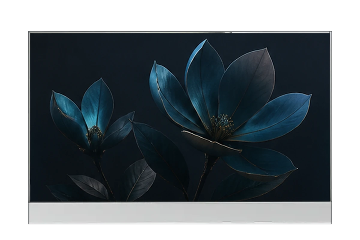 77-inch 4K transparent OLED commercial display module
