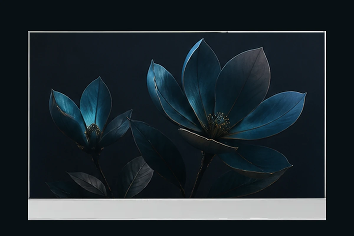 77-inch 4K transparent OLED commercial display module
