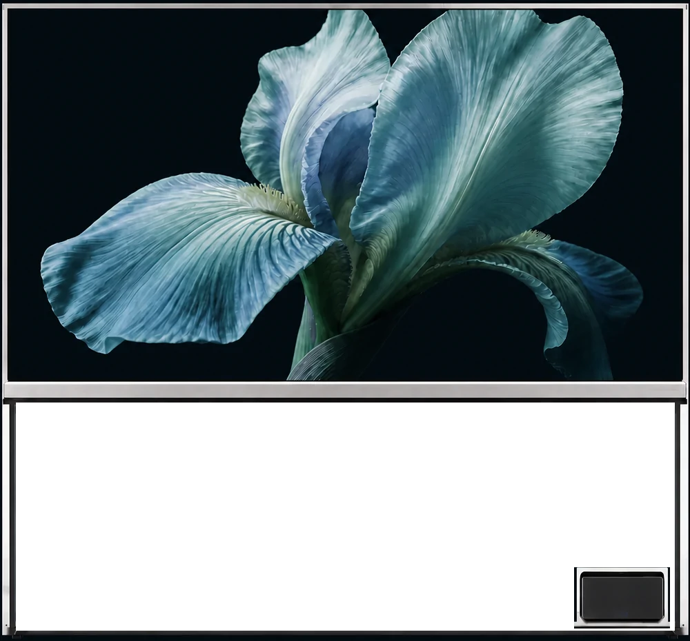LG OLED77T4PUA transparent display system